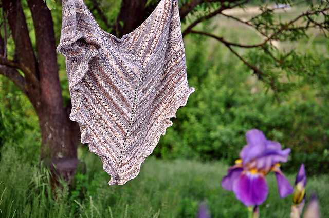 Tortuga Shawlette