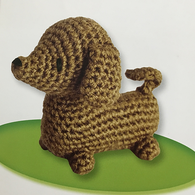 Lincoln the Dachshund
