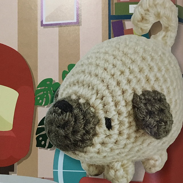 Blossom the Pug