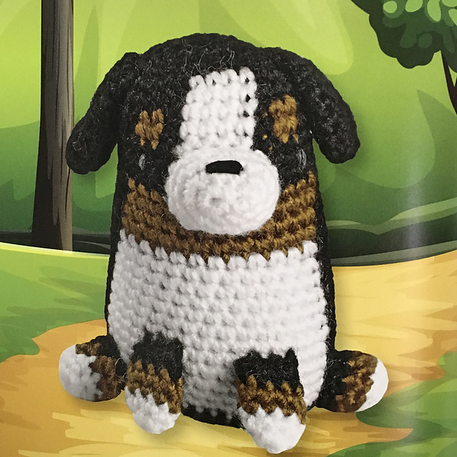 Decker the Bernese Mountain Dog