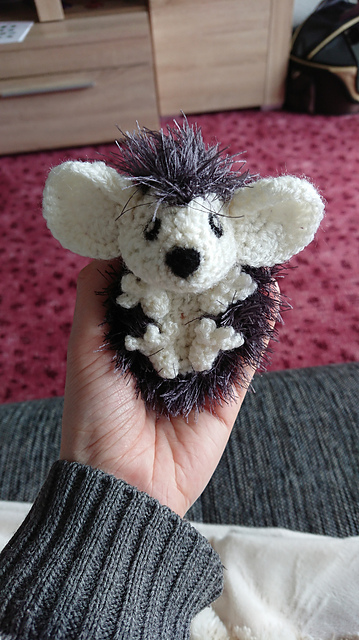 Ginny the Baby Hedgehog