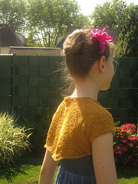 Winterberry Shrug