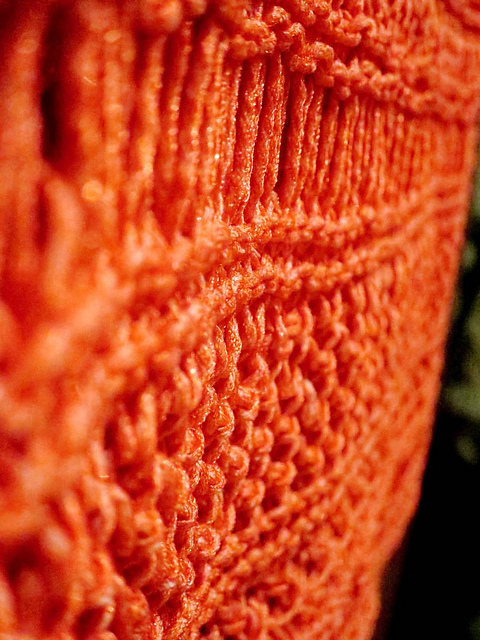 cancun boxy lace top