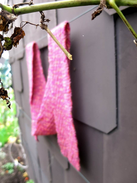 Bob's Scarf