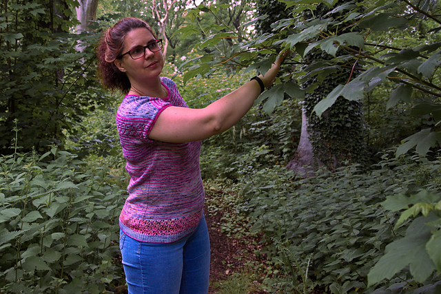 Felicitas (The Arrow Sweater) (2)
