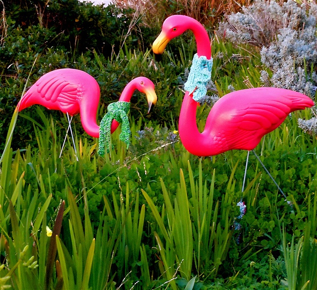 Dressing Up the Lawn Flamingos
