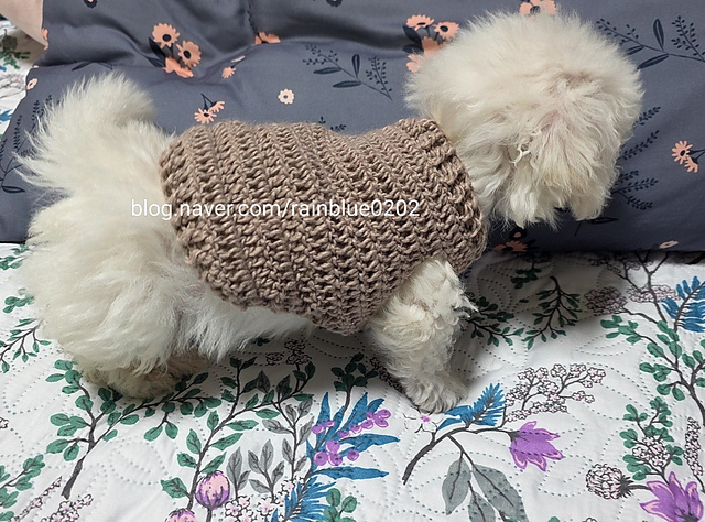 Crochet Dog Sweater