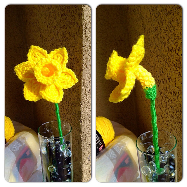 Daffodil Daze