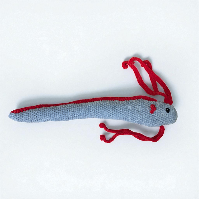 Oarfish