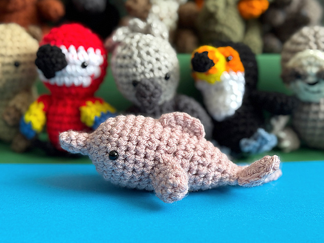 Little Pink Dolphin