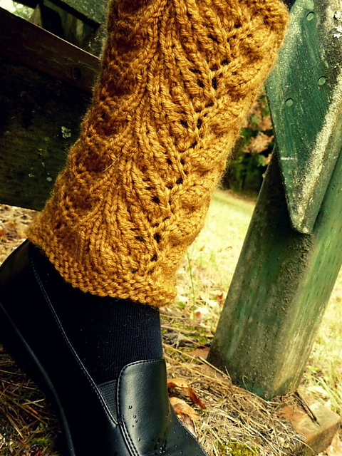 Acorn