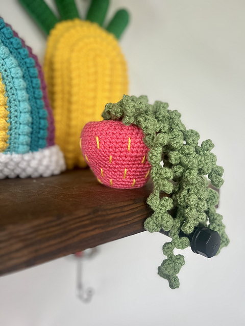 Strawberry Plant Holder