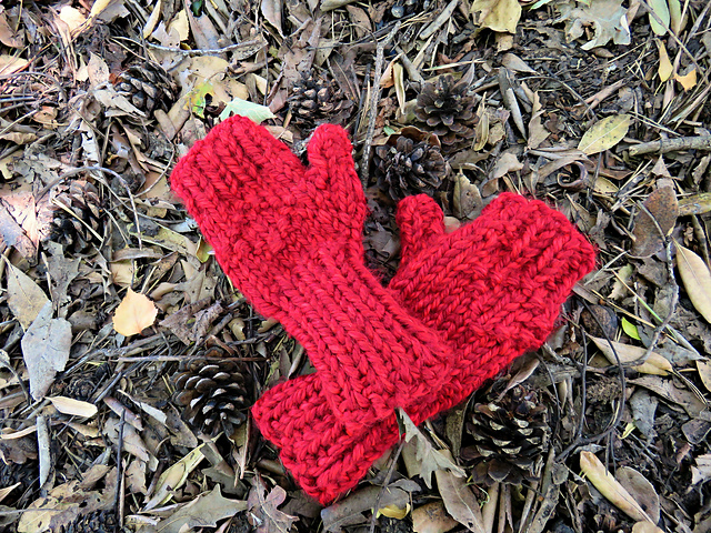 Ngahuru Mitts