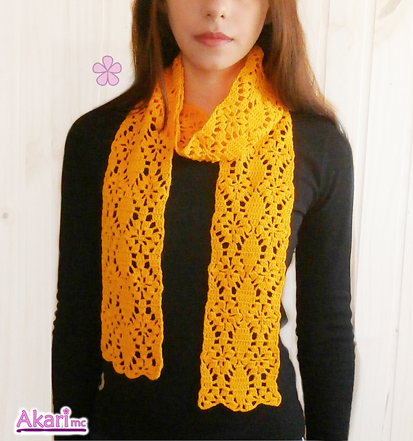 Federal star scarf _ C14