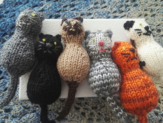 Year Of The Cat