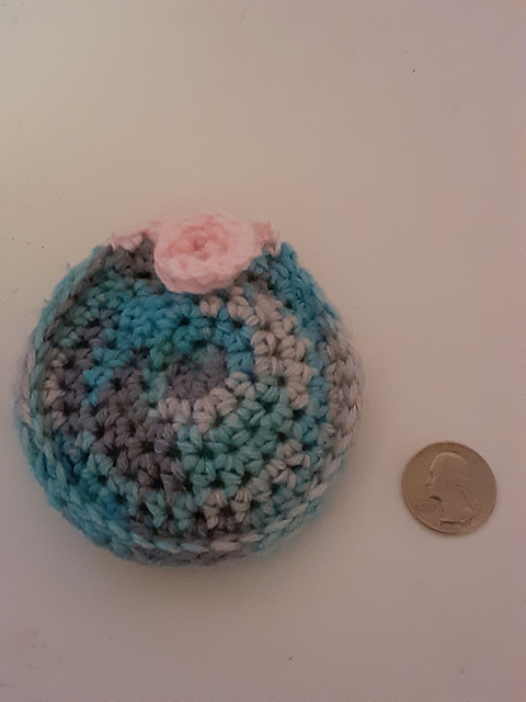Arctic Coin Purse
