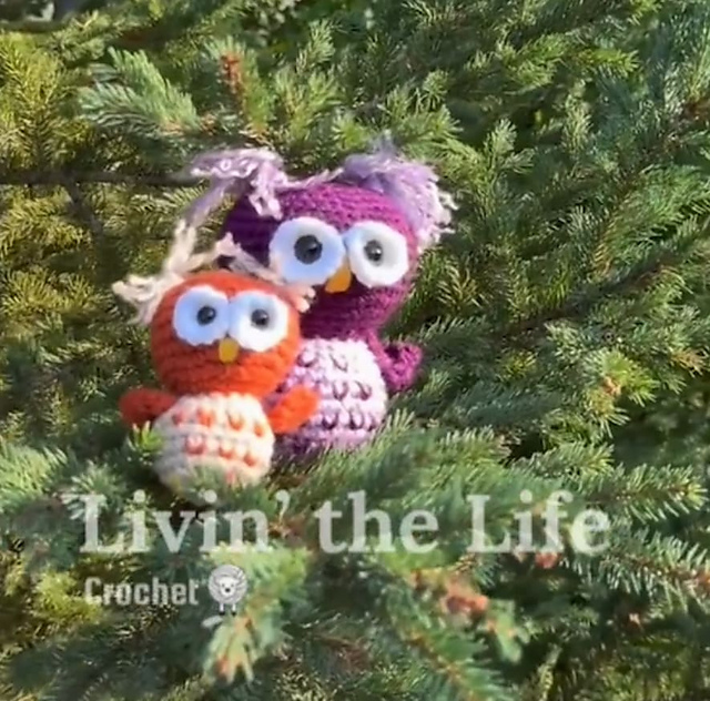 Hootiful Owls