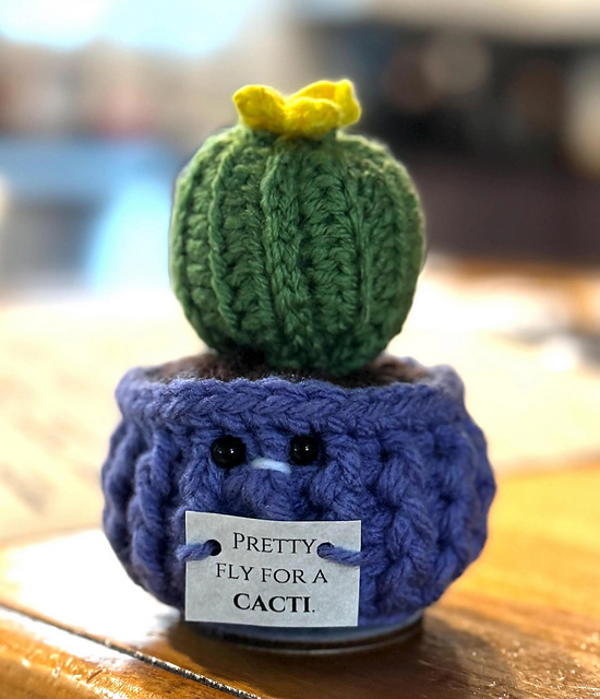 Sassy Succulents