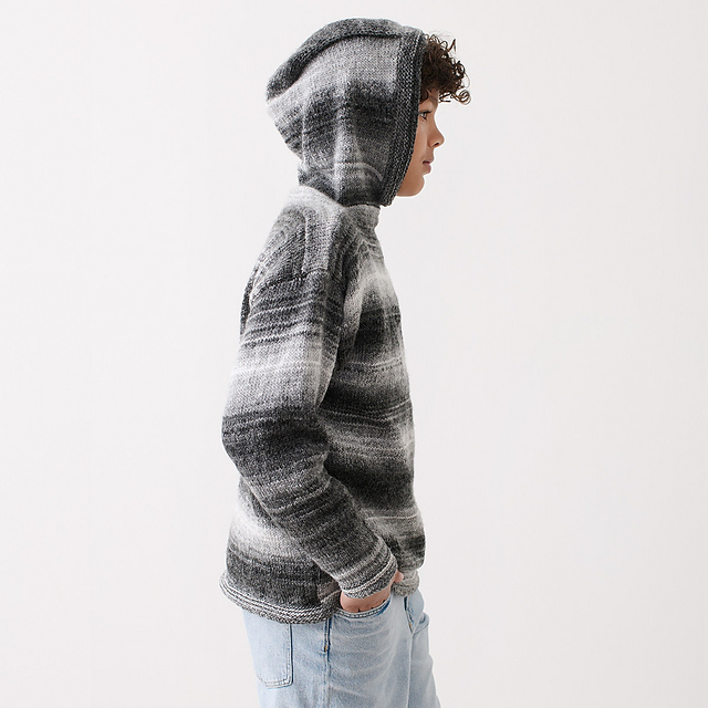 Patons Allsorts Hoodie and Jumper
