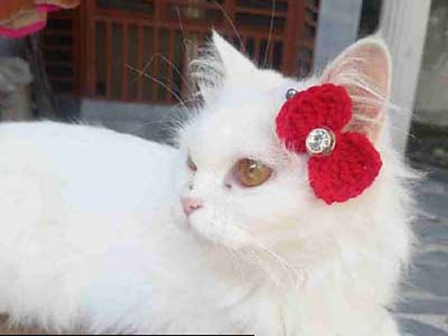 Bow hair clips