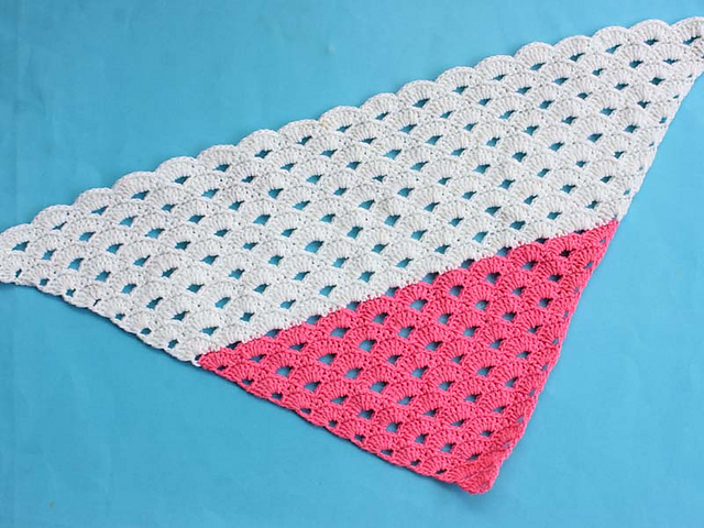 Ladies Fashion Shawl