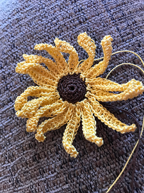 Black-eyed Susan