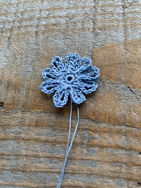 Chicory