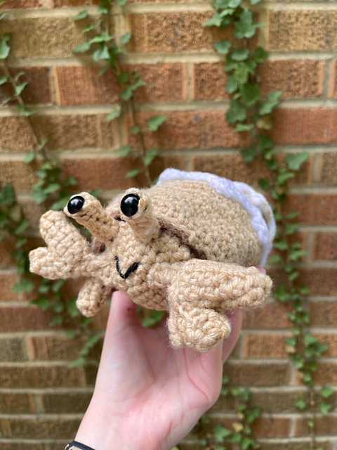 Cinnamon Roll Hermit Crab