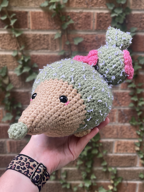 Cactus Hedgehog