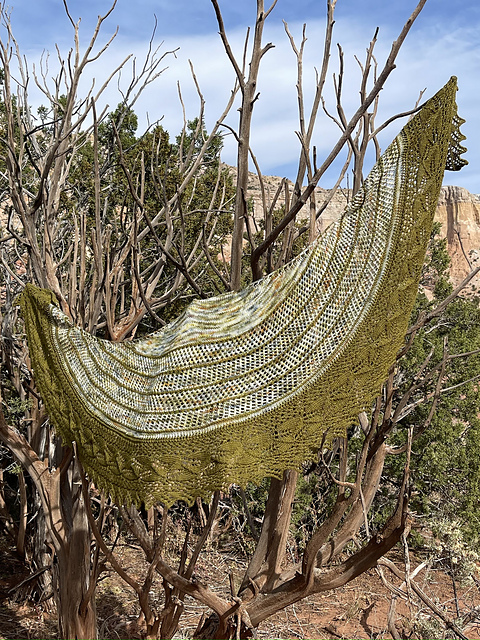 Leaf & Lattice