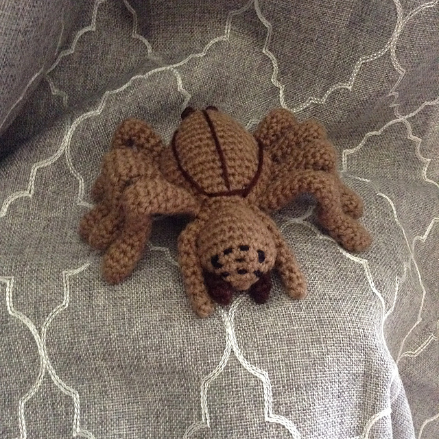My Pet Tarantula