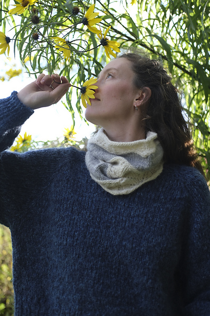 Hedwig cowl
