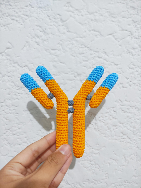 ANTIBUDDY (Antibody)