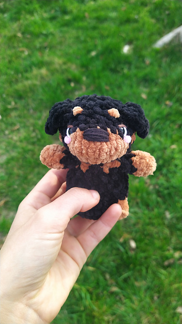 Rottweiler Dog