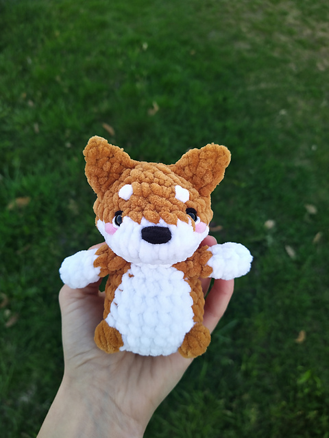 Shiba Inu Dog