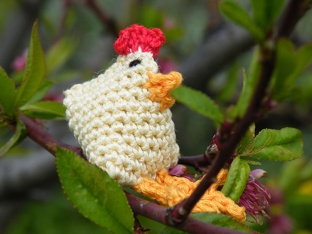 Alice das Hühnchen / Chicken