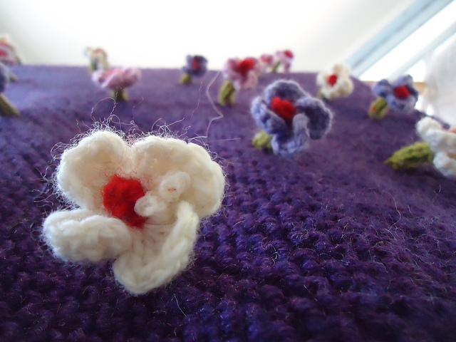 The Living Blanket In Bloom