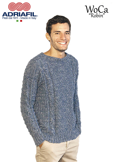 Robin mens pullover