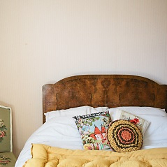 Chrysanths Cushion