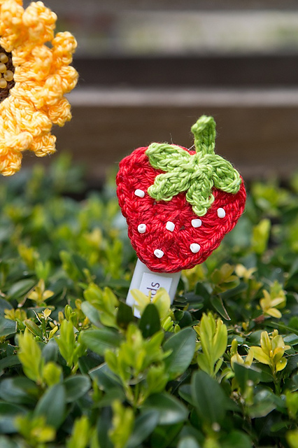Fruit & Veg Plant Sticks