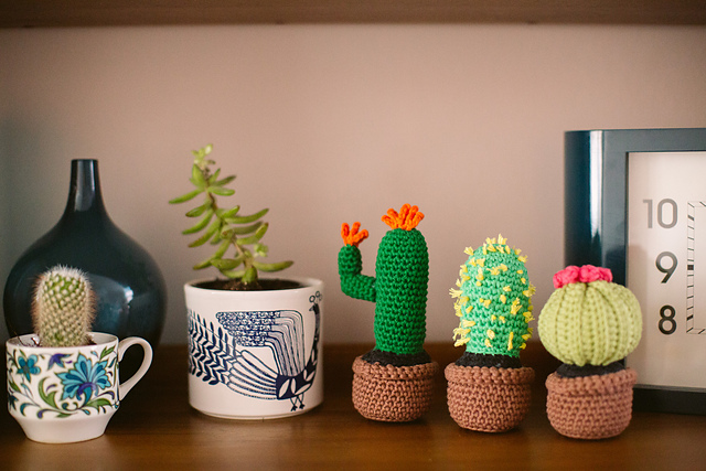 Cactus Garden
