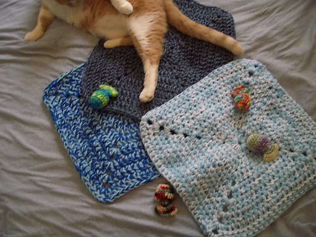 Jennifer's 20 Minute Pet Rug
