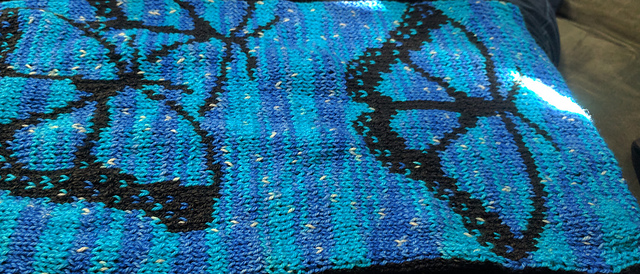 Blue Morpho Scarf