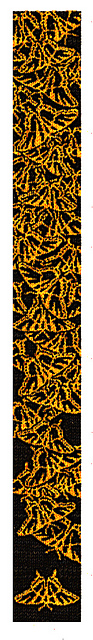 Swallowtail Butterfly Scarf