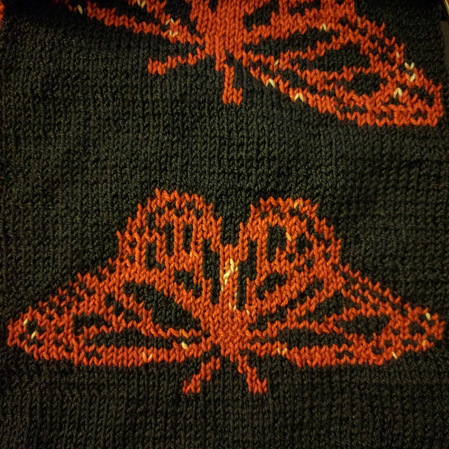 Monarch Butterfly Scarf