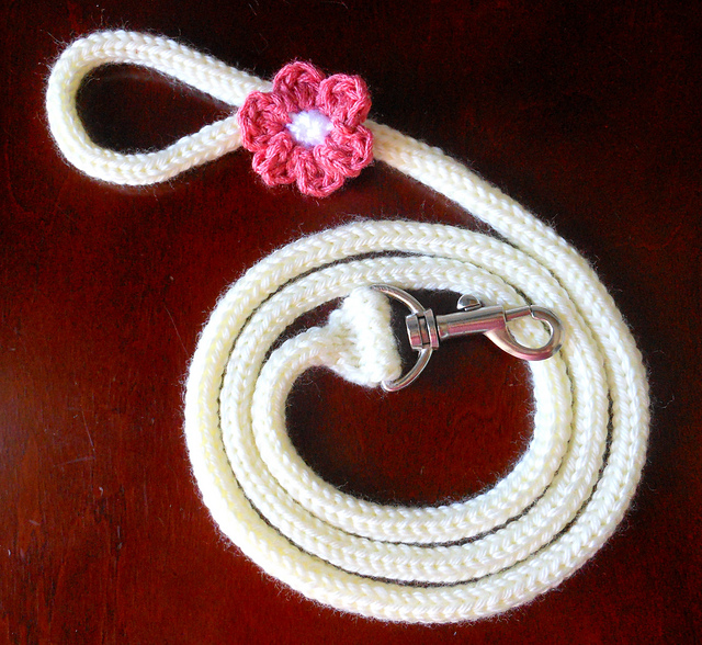 Playtime Leash