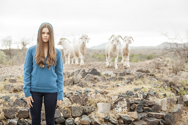 Hooded Pullover : AE-1016