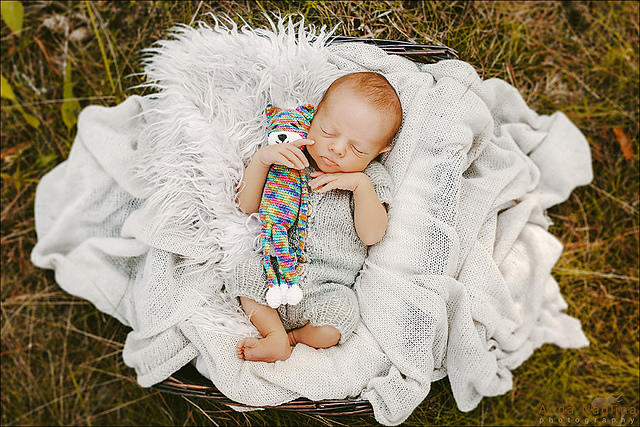 Seville Shorties Romper