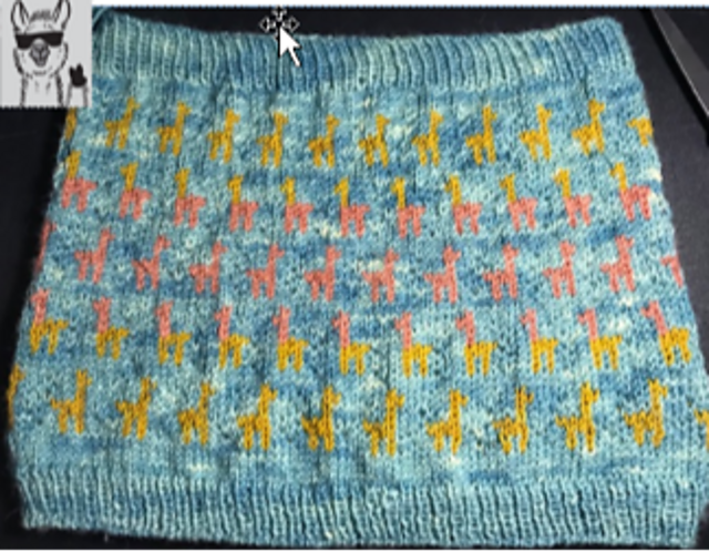 Llama Drama Cowl