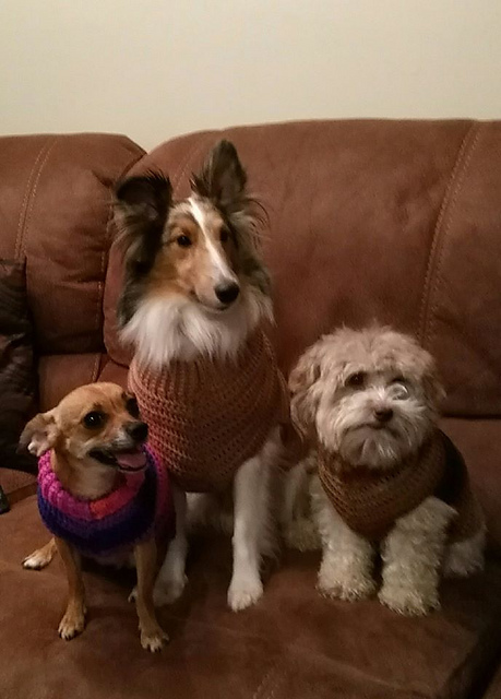 Winter Blues Dog Sweater